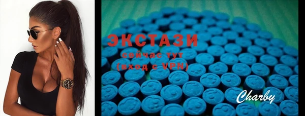 ECSTASY Алзамай