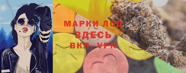 PSILOCYBIN Навашино