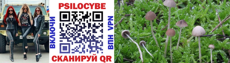 площадка клад  ОМГ ОМГ ONION  Райчихинск  Галлюциногенные грибы Psilocybine cubensis 